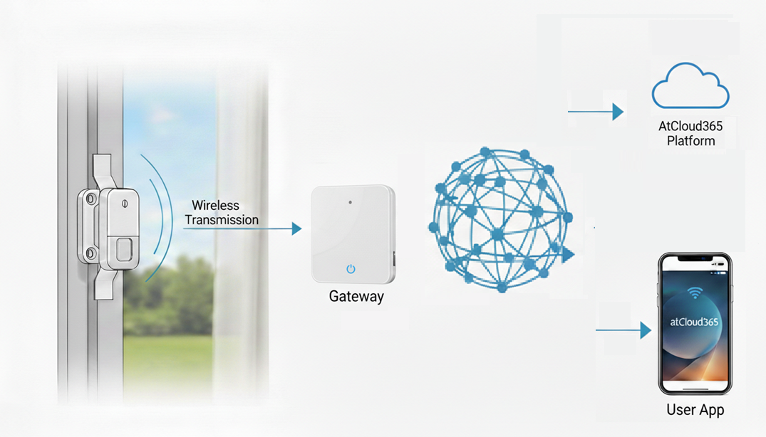 개인 보안 솔루션
